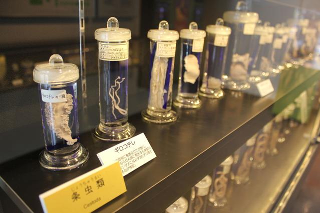 Meguro Parasitological Museum